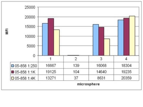 Anticorps anti-histone&nbsp;H4, pan, clone&nbsp;62-141-13, monoclonal de lapin clone 62-141-13, Upstate&#174;, from rabbit