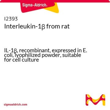 Interleukin-1&#946; from rat IL-1&#946;, recombinant, expressed in E. coli, lyophilized powder, suitable for cell culture