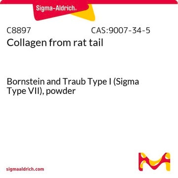 Collagen from rat tail Bornstein and Traub Type I (Sigma Type VII), powder