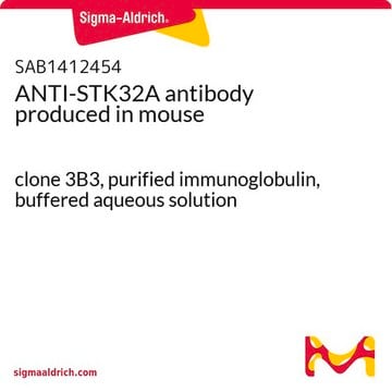 ANTI-STK32A antibody produced in mouse clone 3B3, purified immunoglobulin, buffered aqueous solution