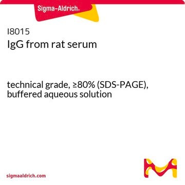 IgG ラット血清由来 technical grade, &#8805;80% (SDS-PAGE), buffered aqueous solution