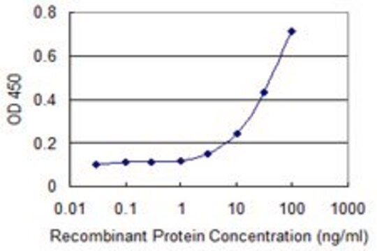 Monoclonal Anti-RBMY1A1, (C-terminal) antibody produced in mouse clone 3G1, purified immunoglobulin, buffered aqueous solution