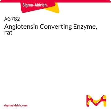 Angiotensin Converting Enzyme, rat