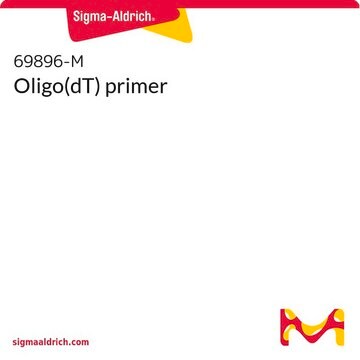 Oligo(dT) primer