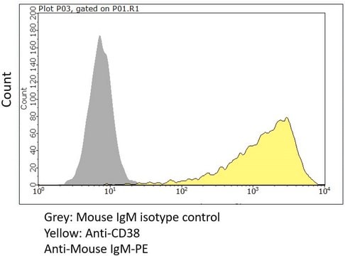 Anti-CD38 Antibody, clone 2H3-2