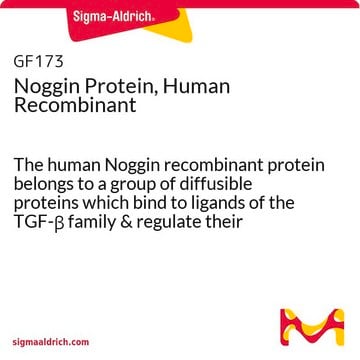 Protéine Noggin, humaine recombinante The human Noggin recombinant protein belongs to a group of diffusible proteins which bind to ligands of the TGF-&#946; family &amp; regulate their activity by inhibiting their access to signaling receptors.