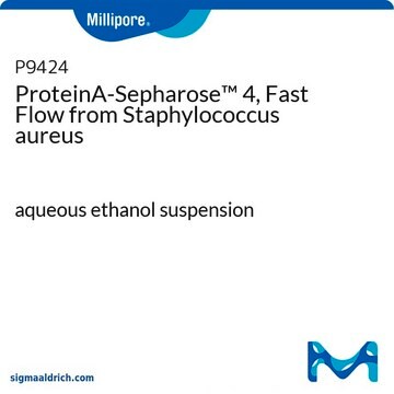 Protéine&nbsp;A-Sepharose&#8482; 4, Fast Flow (à débit élevé) from Staphylococcus aureus aqueous ethanol suspension