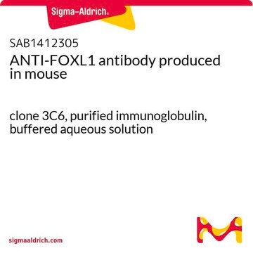 ANTI-FOXL1 antibody produced in mouse clone 3C6, purified immunoglobulin, buffered aqueous solution