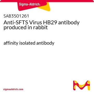 Anti-SFTS Virus HB29 antibody produced in rabbit affinity isolated antibody