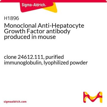 Monoclonal Anti-Hepatocyte Growth Factor antibody produced in mouse clone 24612.111, purified immunoglobulin, lyophilized powder