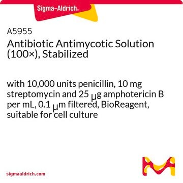 Disolución antibiótica antimicótica (100x) estabilizada with 10,000 units penicillin, 10 mg streptomycin and 25 &#956;g amphotericin B per mL, 0.1 &#956;m filtered, BioReagent, suitable for cell culture