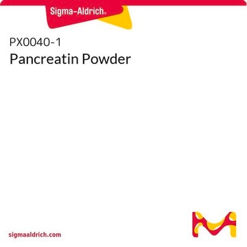 Pancreatin Powder