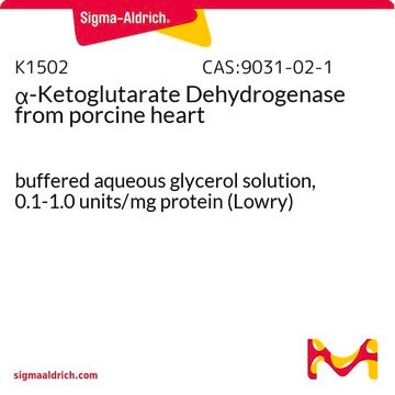 &#945;-Ketoglutarate Dehydrogenase from porcine heart buffered aqueous glycerol solution, 0.1-1.0&#160;units/mg protein (Lowry)