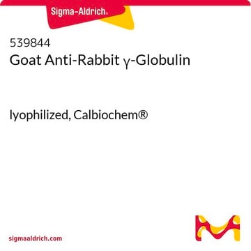 Goat Anti-Rabbit &#947;-Globulin lyophilized, Calbiochem&#174;