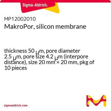 MakroPor, silicon membrane thickness 50&#160;&#956;m, pore diameter 2.5&#160;&#956;m, pore size 4.2&#160;&#956;m (interpore distance), size 20&#160;mm × 20&#160;mm, pkg of 10&#160;pieces