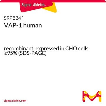 VAP-1 human recombinant, expressed in CHO cells, &#8805;95% (SDS-PAGE)