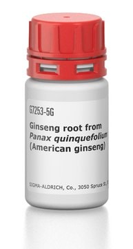 Ginseng root from Panax quinquefolium (American ginseng)