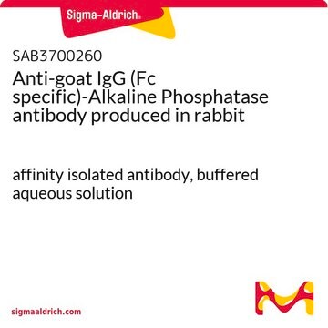 Anti-goat IgG (Fc specific)-Alkaline Phosphatase antibody produced in rabbit affinity isolated antibody, buffered aqueous solution