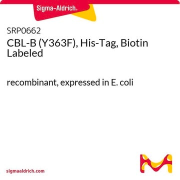 CBL-B (Y363F), His-Tag, Biotin Labeled recombinant, expressed in E. coli