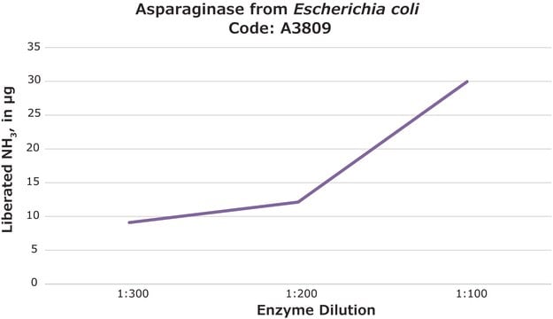 Asparaginase aus E. coli lyophilized powder, 100-300&#160;units/mg protein (biuret)