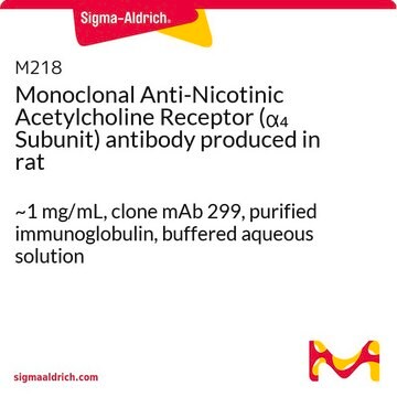 Monoclonal Anti-Nicotinic Acetylcholine Receptor (&#945;4 Subunit) antibody produced in rat ~1&#160;mg/mL, clone mAb 299, purified immunoglobulin, buffered aqueous solution