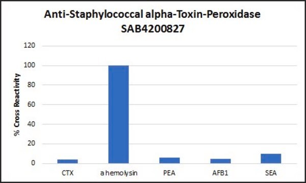 Anti- Staphylococcal alpha-Toxin-Peroxidase antibody produced in rabbit IgG fraction of antiserum