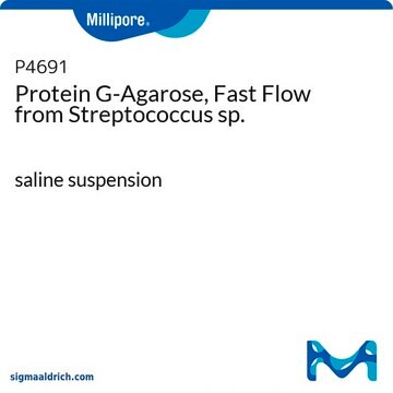 Protéine&#160;G-Agarose, Fast Flow (à débit élevé) from Streptococcus sp. saline suspension