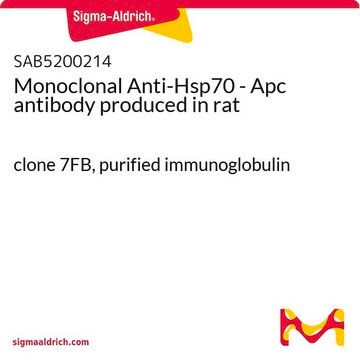 Monoclonal Anti-Hsp70 - Apc antibody produced in rat clone 7FB, purified immunoglobulin