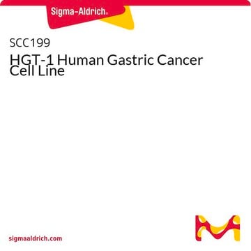 HGT-1 Human Gastric Cancer Cell Line