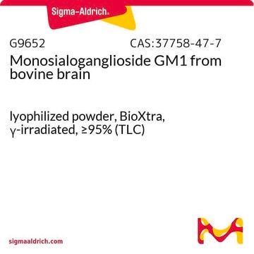 Monosialoganglioside&nbsp;GM1 from bovine brain lyophilized powder, BioXtra, &#947;-irradiated, &#8805;95% (TLC)