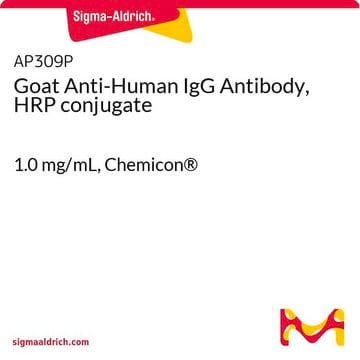 Anticorps de chèvre anti-IgG humaine, conjugué à la HRP 1.0&#160;mg/mL, Chemicon&#174;