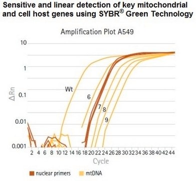 NovaQUANT&#174; Human Mitochondrial to Nuclear DNA Ratio Kit qPCR format, for human DNA sample extracted from cells or tissues of interest