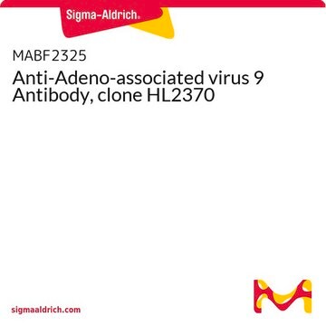 Anti-Adeno-associated virus 9 Antibody, clone HL2370