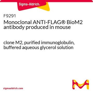 ANTI-FLAG&#174; M2 monoclonal clone M2, purified immunoglobulin, buffered aqueous glycerol solution