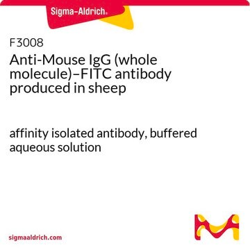 Anti-Mouse IgG (whole molecule)–FITC antibody produced in sheep affinity isolated antibody, buffered aqueous solution