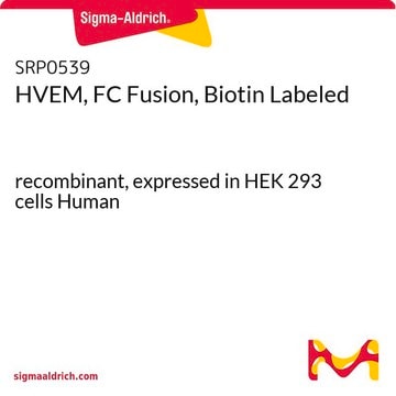 HVEM, FC Fusion, Biotin Labeled recombinant, expressed in HEK 293 cells Human