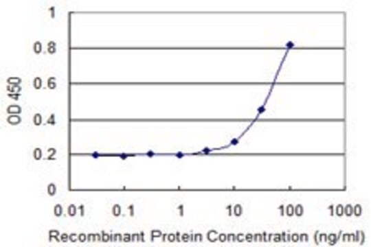 Monoclonal Anti-GAMT, (C-terminal) antibody produced in mouse clone 3H4, purified immunoglobulin, buffered aqueous solution