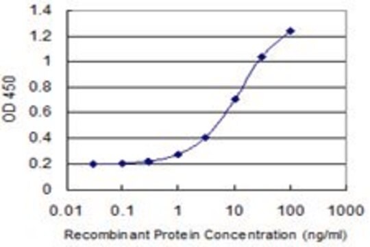 Monoclonal Anti-DUSP16, (C-terminal) antibody produced in mouse clone 3F3, purified immunoglobulin, buffered aqueous solution