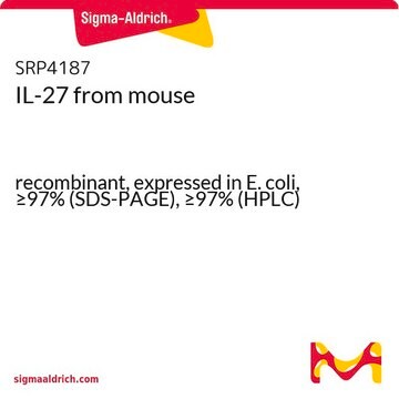 IL-27 from mouse recombinant, expressed in E. coli, &#8805;97% (SDS-PAGE), &#8805;97% (HPLC)