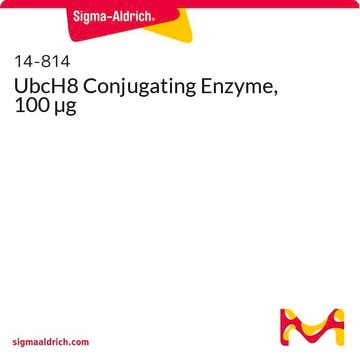 UbcH8 Conjugating Enzyme, 100 &#181;g