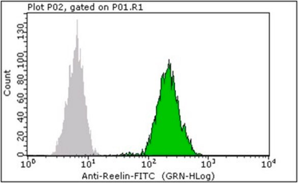 Milli-Mark® Anti-Reelin-FITC, a.a. 164-496 Antibody, clone G10 clone ...