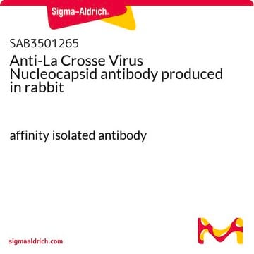 Anti-La Crosse Virus Nucleocapsid antibody produced in rabbit affinity isolated antibody