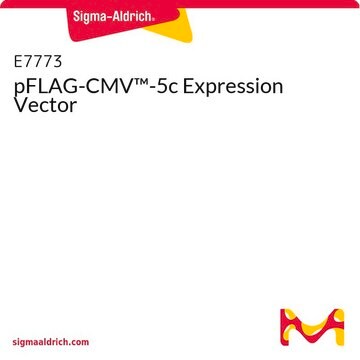 pFLAG-CMV&#8482;-5c Expression Vector