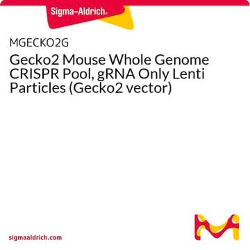 Gecko2 Mouse Whole Genome CRISPR Pool, gRNA Only Lenti Particles (Gecko2 vector)