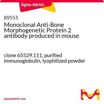 Monoclonal Anti-Bone Morphogenetic Protein&#160;2 antibody produced in mouse clone 65529.111, purified immunoglobulin, lyophilized powder