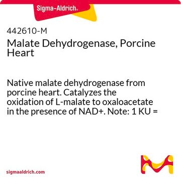 Malate Dehydrogenase, Porcine Heart Native malate dehydrogenase from porcine heart. Catalyzes the oxidation of L-malate to oxaloacetate in the presence of NAD+. Note: 1 KU = 1000 units.