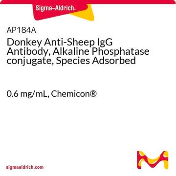 Donkey Anti-Sheep IgG Antibody, Alkaline Phosphatase conjugate, Species Adsorbed 0.6&#160;mg/mL, Chemicon&#174;