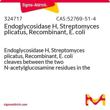 Endoglycosidase H, Streptomyces plicatus, Recombinant, E. coli Endoglycosidase H, Streptomyces plicatus, Recombinant, E. coli cleaves between the two N-acetylglucosamine residues in the diacetylchitobiose core of the oligosaccharide.