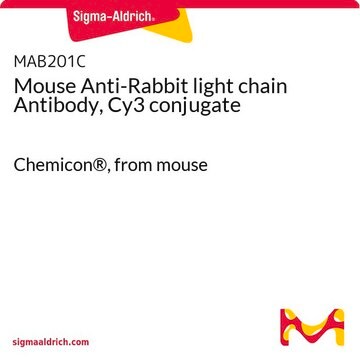 Mouse Anti-Rabbit light chain Antibody, Cy3 conjugate Chemicon&#174;, from mouse