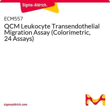 QCM Leukocyte Transendothelial Migration Assay (Colorimetric, 24 Assays)